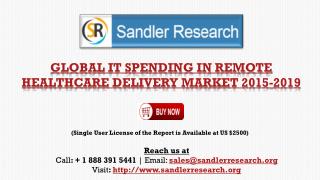 World IT Spending in Remote Healthcare Delivery Market Growth Research to 2019
