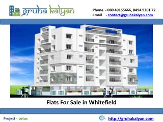 Flats For Sale in Whitefield
