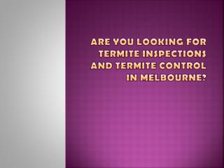 Termite inspection, protection, contol & pest control services