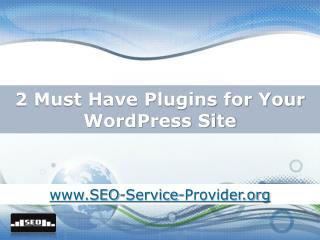2 Must Have Plugins for Your Wordpress Site