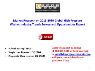 Global High Pressure Washer Industry Market Growth Analysis and 2020 Forecast