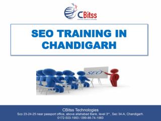 seo tarining in chandigarh