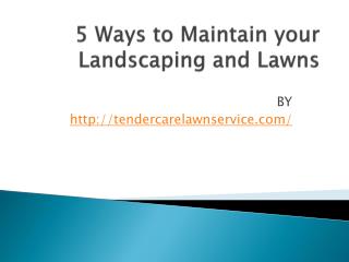 5 Ways to Maintain your Landscaping and Lawns