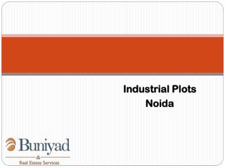 Opportunistic Industrial Plots for sale in Noida