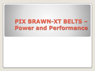 PIX BRAWN-XT BELTS – Power and Performance