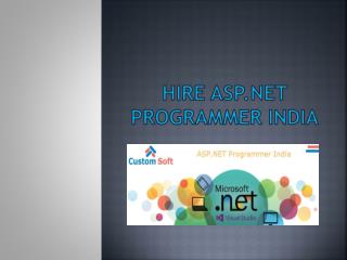 Hire ASP.NET Programmer India