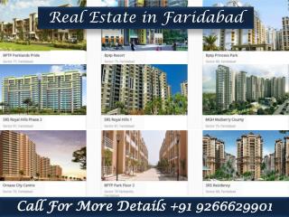 Real Estate in Faridabad
