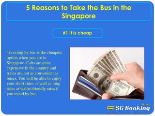 5 Reasons to Take the Bus in the Singapore