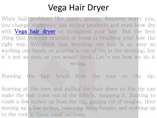 Vega Hair Dryer
