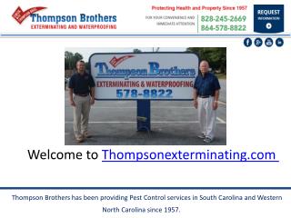 Pest control &amp; termite service thompson exterminating.com