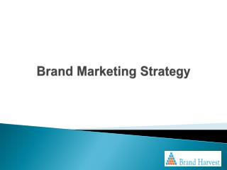 Brand Marketing Strategy