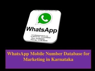 WhatsApp Mobile Number Database for Marketing in Karnataka