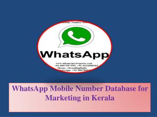 WhatsApp Mobile Number Database for Marketing in Kerala