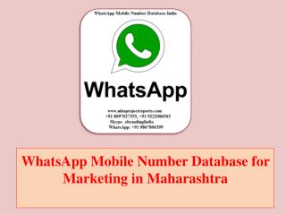 WhatsApp Mobile Number Database for Marketing in Maharashtra