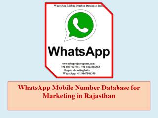 WhatsApp Mobile Number Database for Marketing in Rajasthan