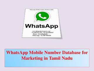 WhatsApp Mobile Number Database for Marketing in Tamil Nadu