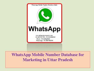 WhatsApp Mobile Number Database for Marketing in Uttar Pradesh