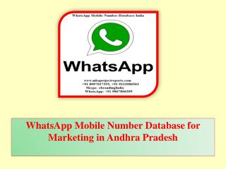 WhatsApp Mobile Number Database for Marketing in Andhra Pradesh