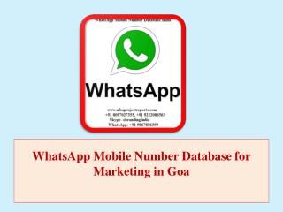 WhatsApp Mobile Number Database for Marketing in Goa