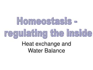 Heat exchange and Water Balance