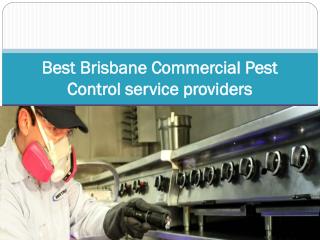 Best Brisbane Commercial Pest Control service providers