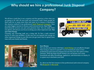 Why should we hire a professional Junk Disposal Company?