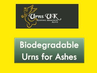 Biodegradable Urns