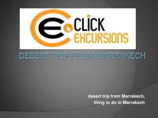 Desert Trip from Marrakech