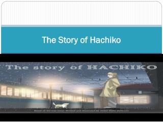 The Story of Hachiko