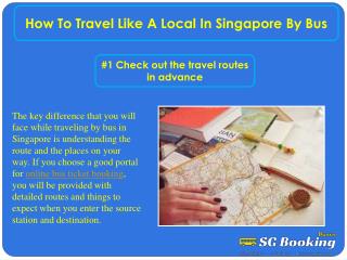 How to travel like a local in Singapore by bus