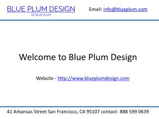 Luxury Kitchen Cabinets-BluePlumDesign.com