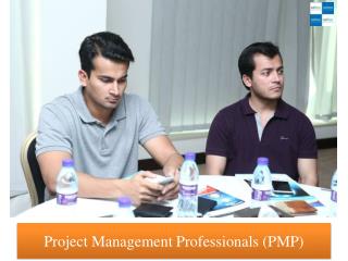 Project Management Professionals (PMP)