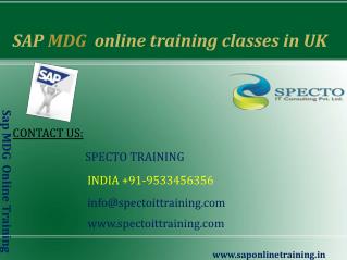 sap mdg online training classes in australia