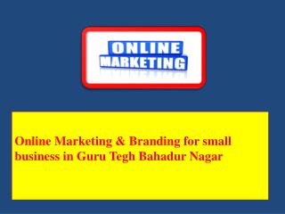 Online Marketing & Branding for small business in Guru Tegh Bahadur Nagar