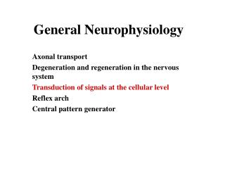 General Neurophysiology