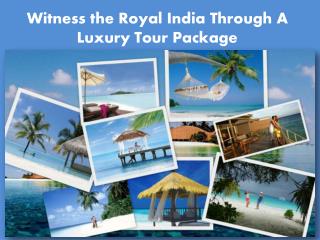 Witness the Royal India Through A Luxury Tour Package