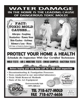 Full Mold Inspection Queens, Staten Island, Brooklyn and New York