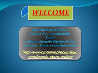 Magic Store Online, 7891181883