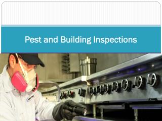 Pest and Building Inspections