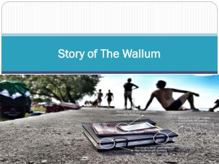 Story of The Wallum