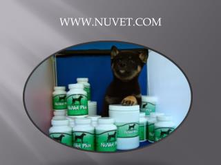 NuVet Labs:The Groomer’s Role in Pet Nutrition