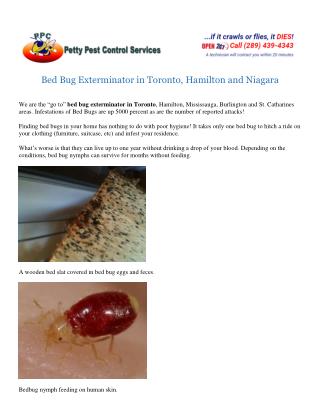 Bed Bug Exterminator in Toronto, Hamilton and Niagara