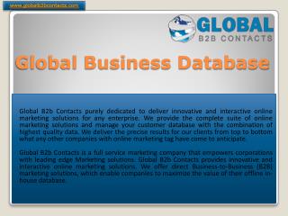 Global Business Database Company