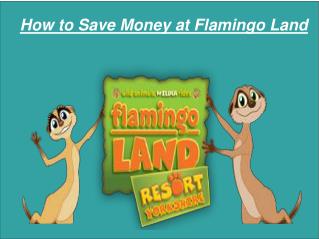 How to Save Money at Flamingo Land