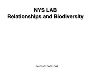 NYS LAB Relationships and Biodiversity