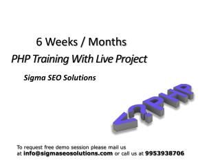 6 weeks summer training on php java dot.net