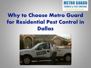 Why to Choose Metro Guard for Residential Pest Control in Dallas