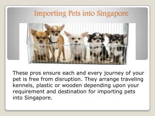 Importing Pets into Singapore