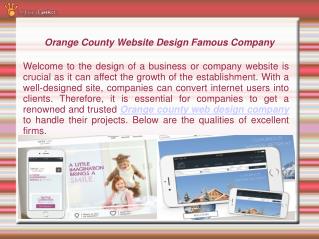 Orange county website design Famous Company