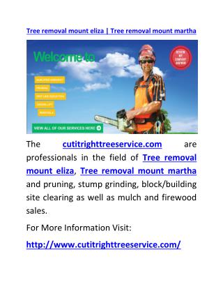 Tree removal mount eliza | Tree removal mount martha